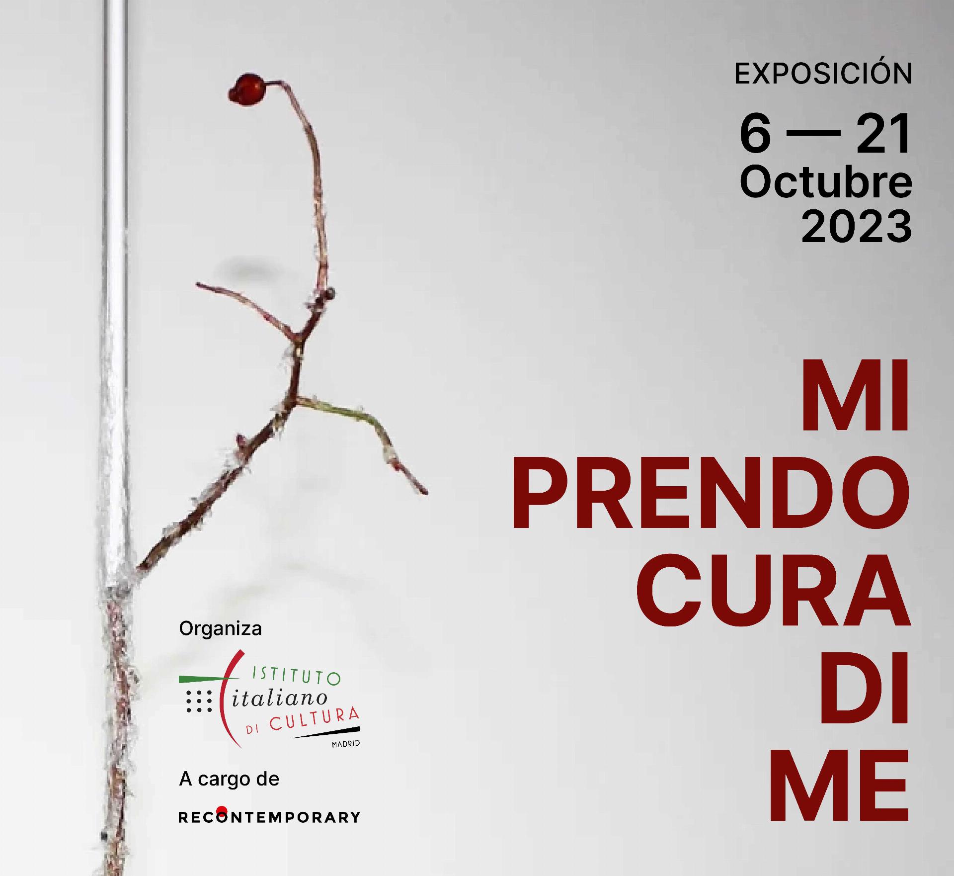 Banner 190×207 cm