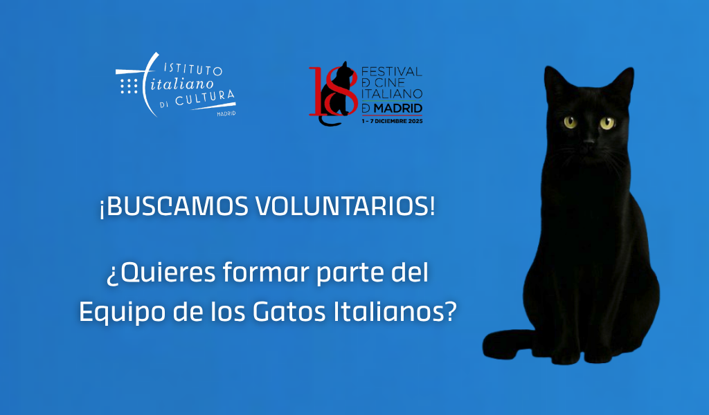 buscamos voluntarios